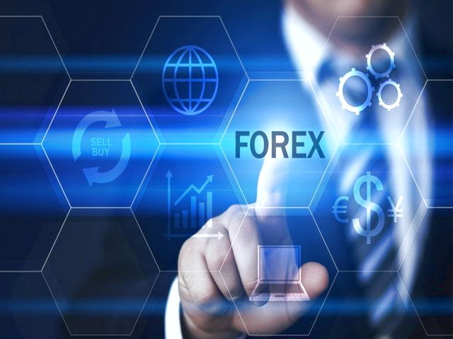 چه اشخاصی در بازار Forex شرکت می کنند؟